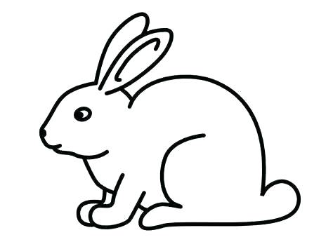 474x355 Easy Draw Rabbit