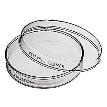 342x342 pyrex brand petri dish x mm, pack