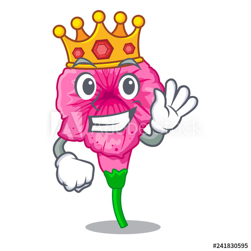 500x500 king petunia in a mascot flower basket