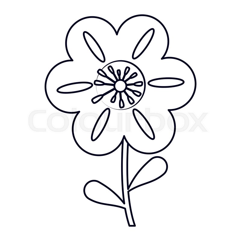 800x800 petunia flower decoration line vector stock vector colourbox