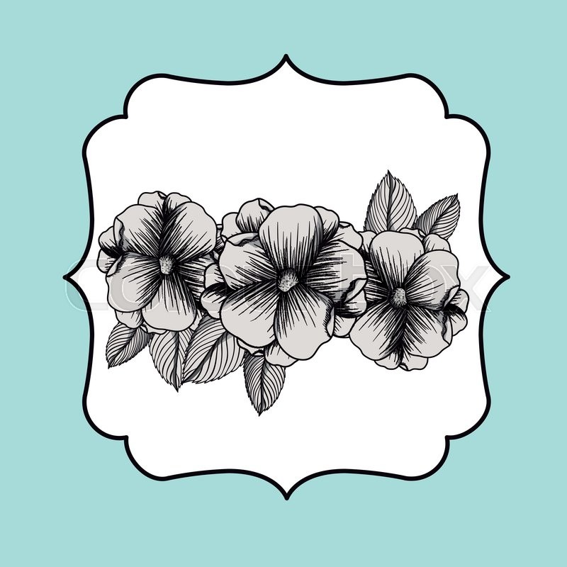 800x800 Flower Drawing Design, Vector Stock Vector Colourbox