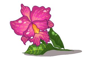 300x200 How To Draw A Violet