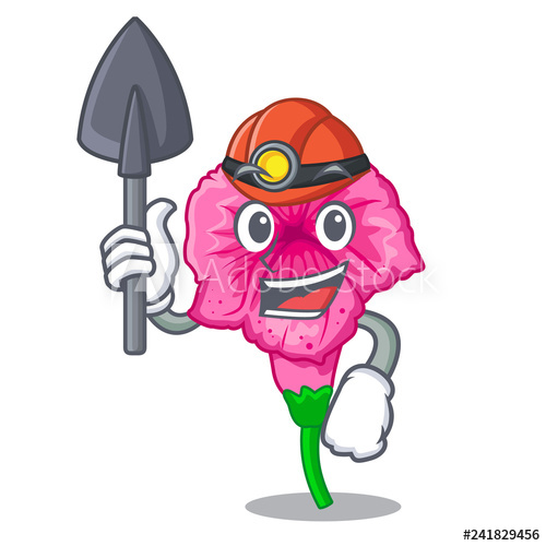 500x500 miner petunia flower grows in character pots