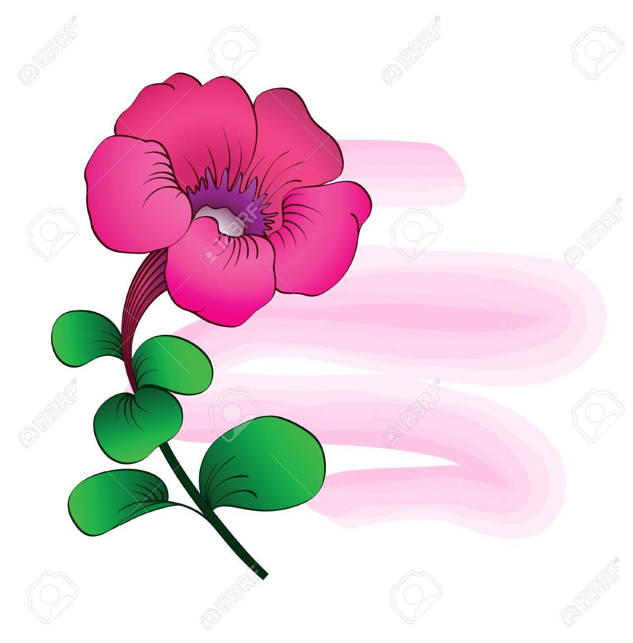 Petunia Flower Drawing | Free download on ClipArtMag