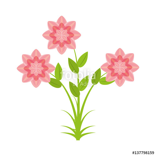 500x500 Petunia Flower Nature Spring Vector Illustration Stock