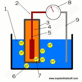 350x350 How Do Ph Meters Work Measuring Acidity