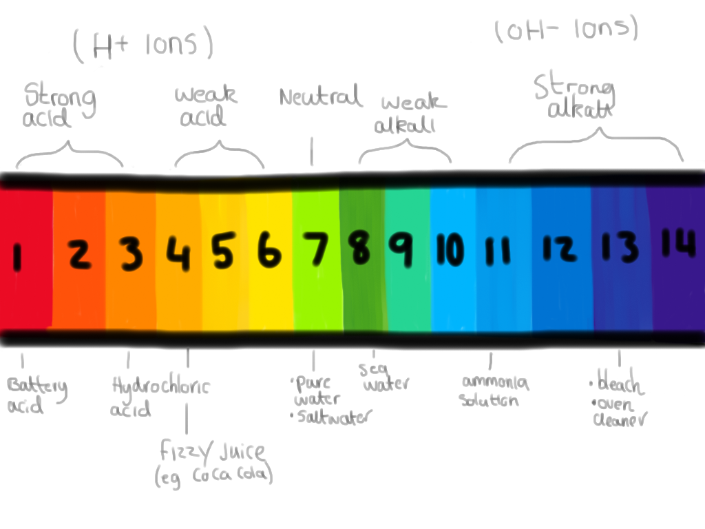 1024x768 Image Result For Ph Scale Drawing Elefante