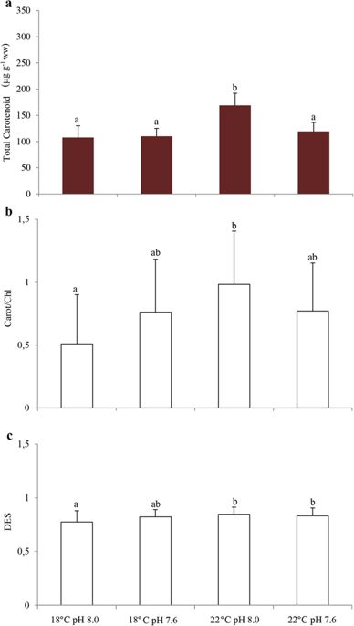 388x685 seagrass ecophysiological performance under ocean warming