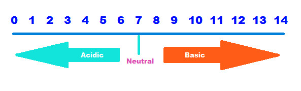 593x179 Ph What It Is, Why It Is Important, And Ways To Measure It