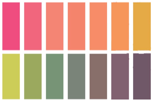 Ph Scale Drawing 