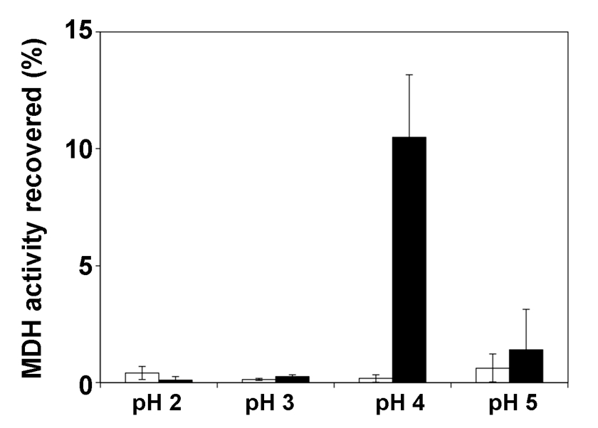 840x602 Detection Of The Ph Dependent Activity Of Escherichia Coli