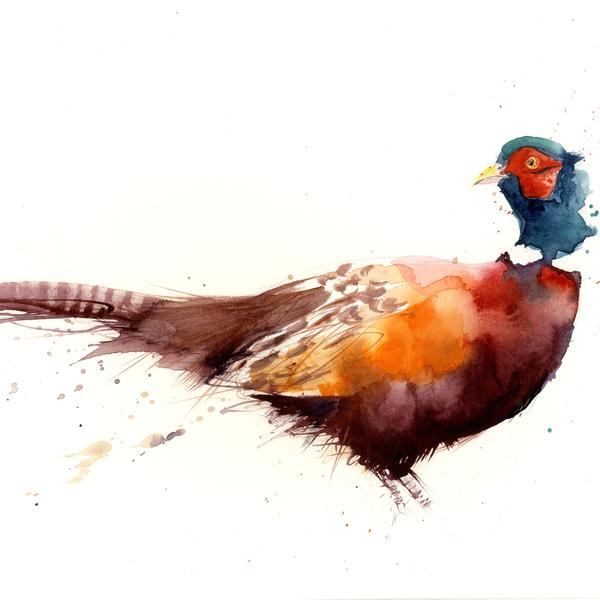 600x600 limited editon cheeky pheasant watercolour print