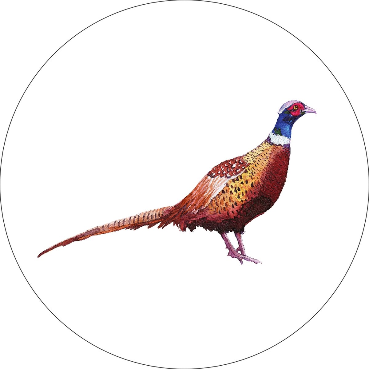 1200x1200 icandy products inc pheasant home wall shelf decor