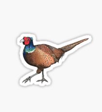210x230 pheasant drawing stickers redbubble