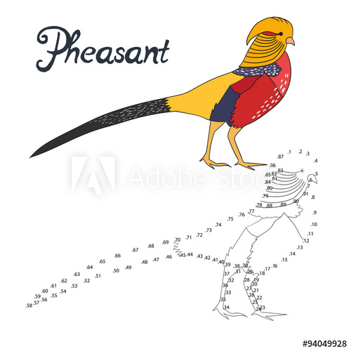 500x500 educational game connect dots draw pheasant bird