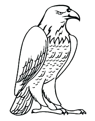 391x500 Philadelphia Eagles Coloring Pages Coloring Book Themes