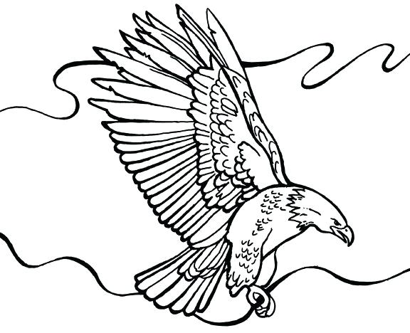 576x468 Eagle Printable Coloring Pages Bald Eagle Coloring