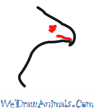 300x350 How To Draw A Philippine Eagle