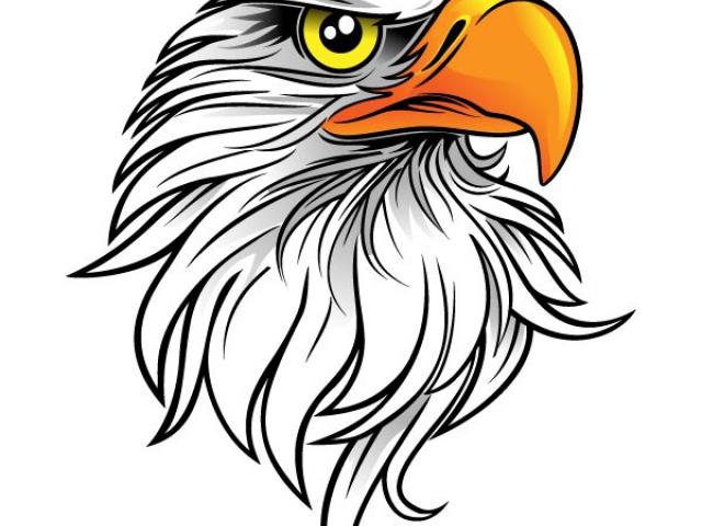 640x480 Philippine Eagle Clipart Coloring