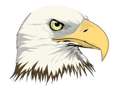 400x294 Philippine Eagle Clipart Coloring Free Clip Art Stock