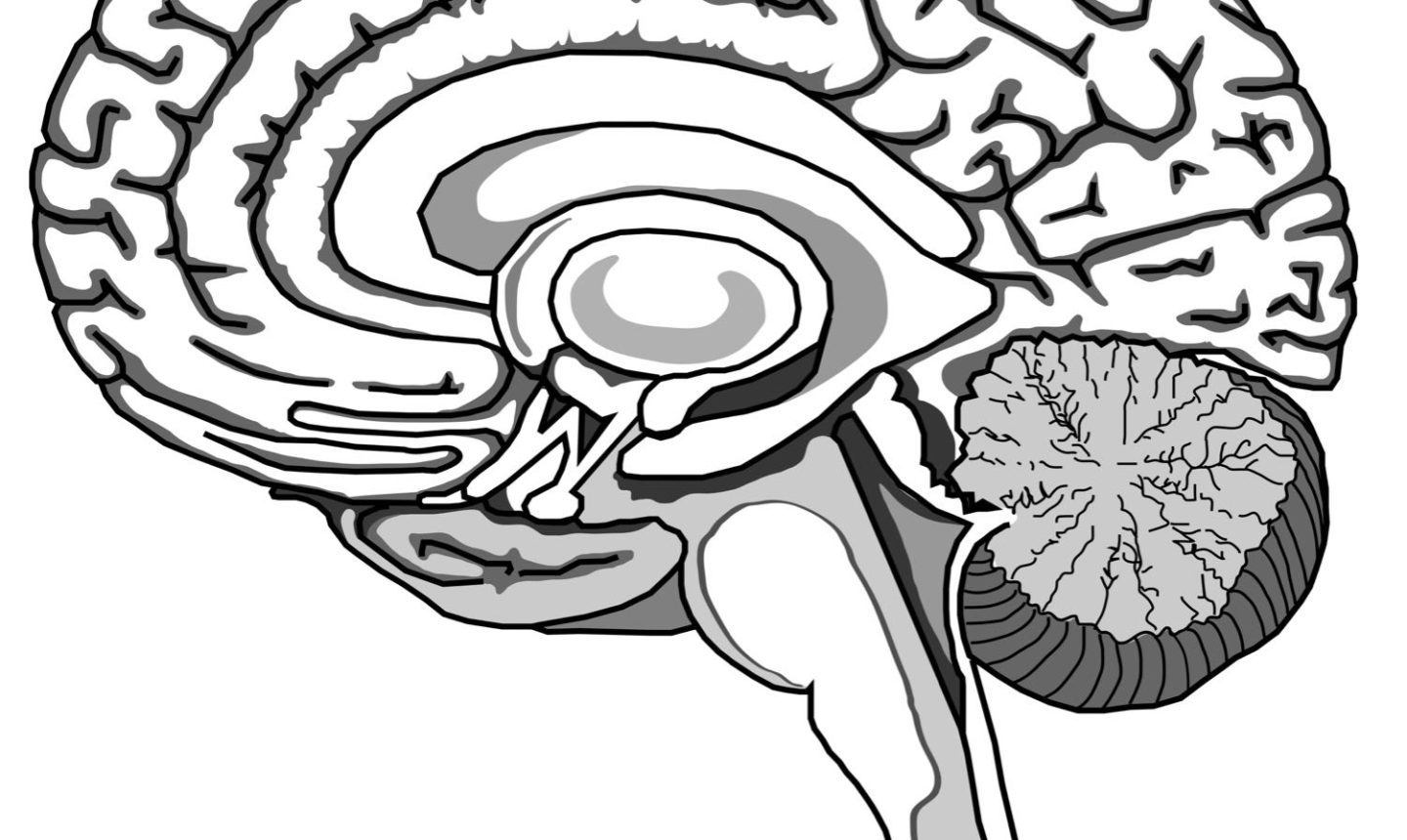 1440x860 neural mechanisms webconference new challenges in philosophy