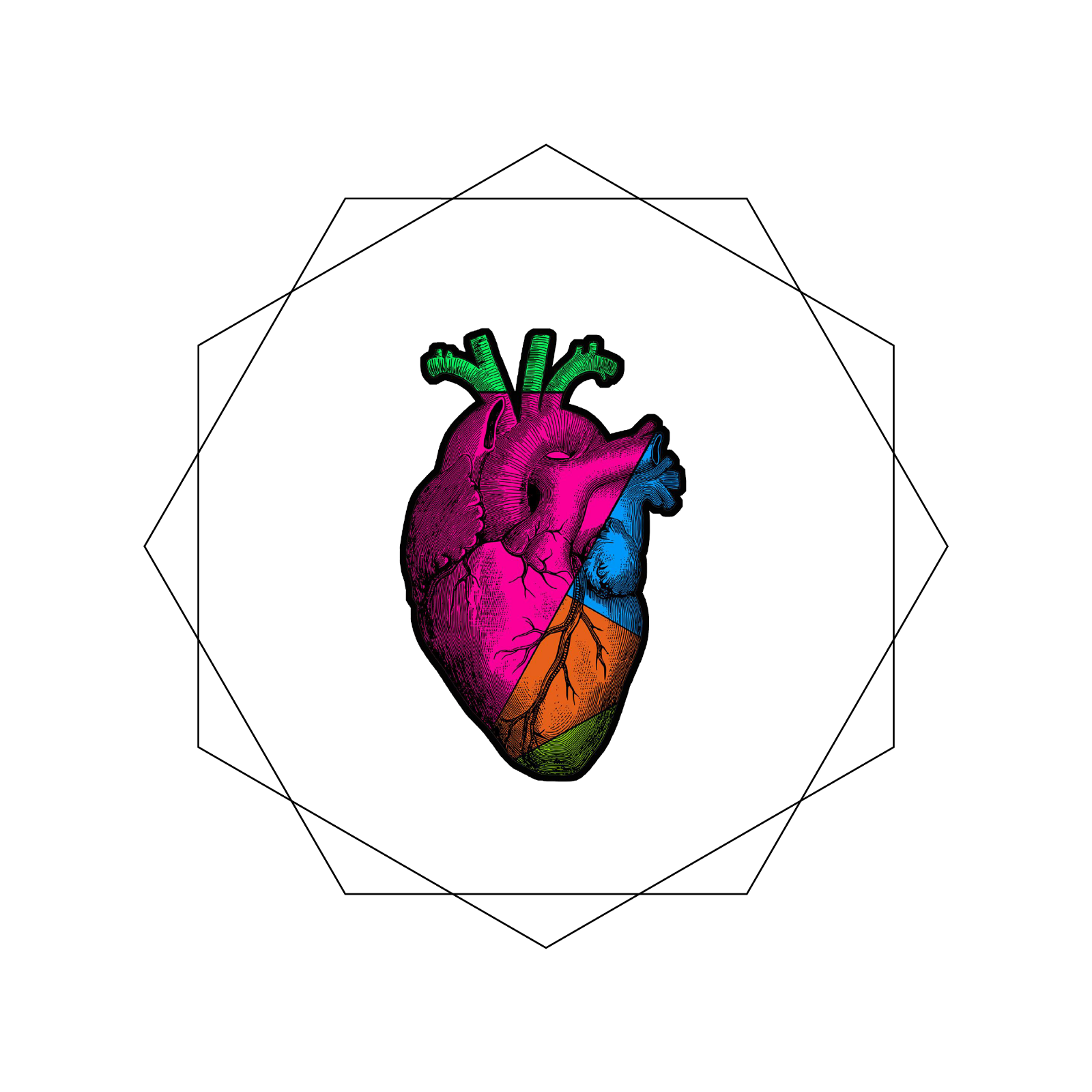 1600x1600 The Common Roots Of Science, Politics And Philosophy