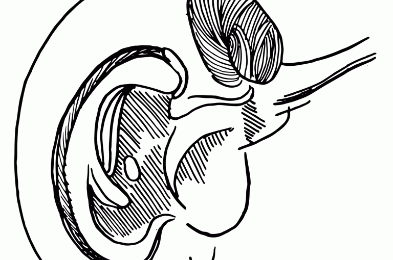 768x510 The Value Of Philosophy