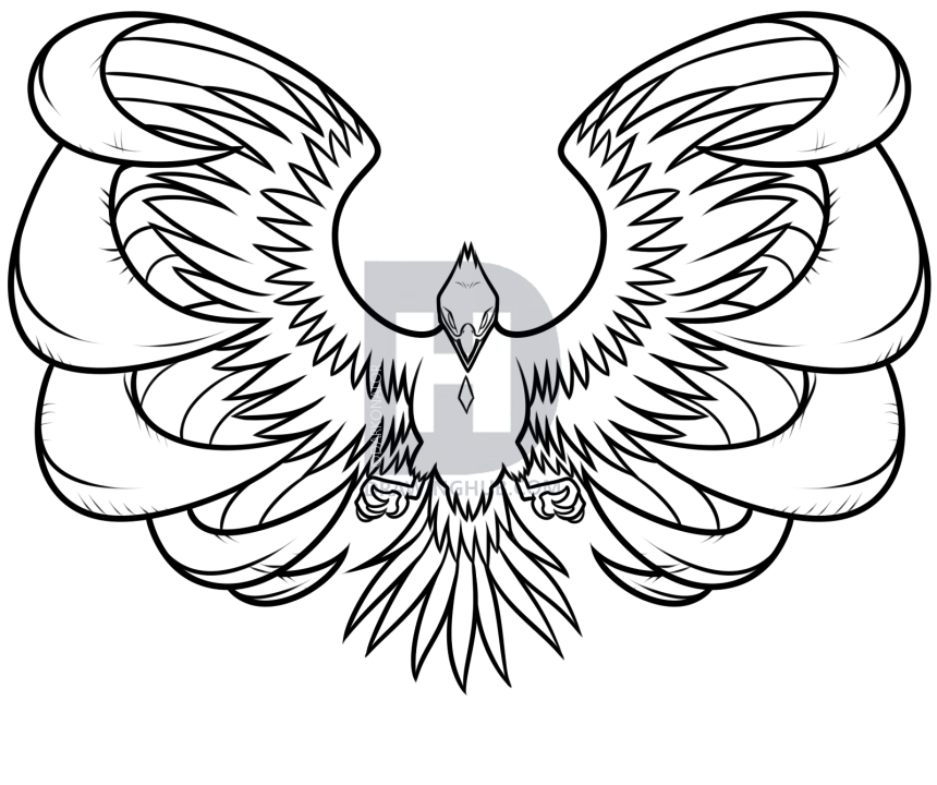 860x720 Drawing A Phoenix Step