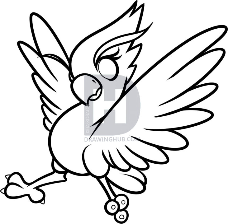 732x720 How To Draw A Phoenix For Kids, Step