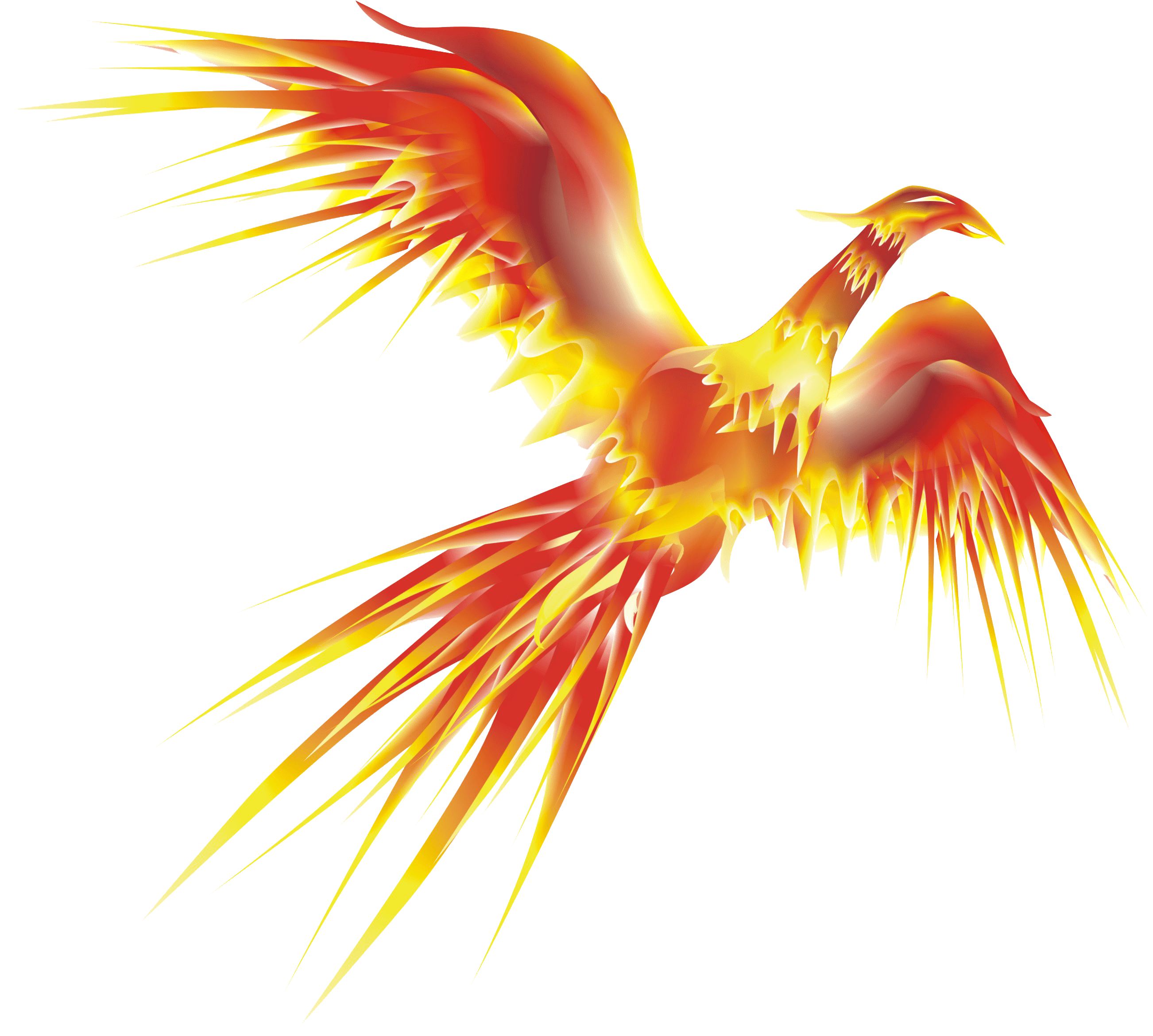 Phoenix Bird Drawing | Free download on ClipArtMag