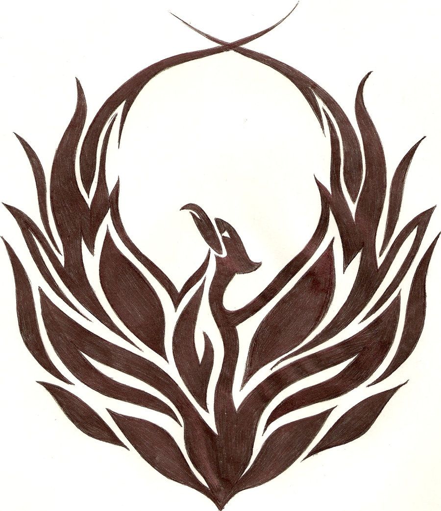 900x1042 drawing of the phoenix bird tribal phoenix