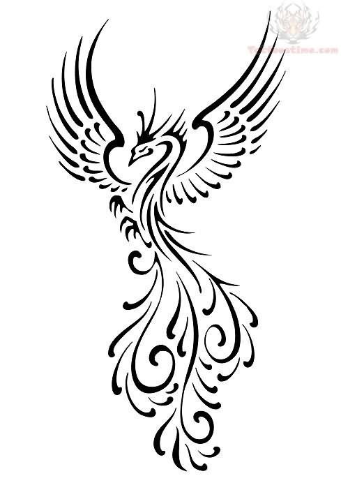 489x692 Phoenix Drawing Stencil For Free Download