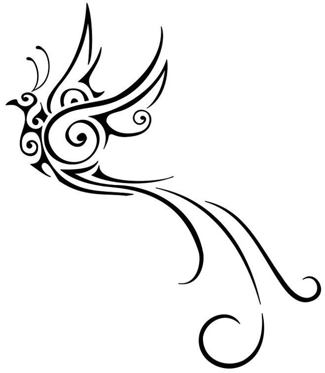 658x754 Paradise Drawing Bird Phoenix For Free Download
