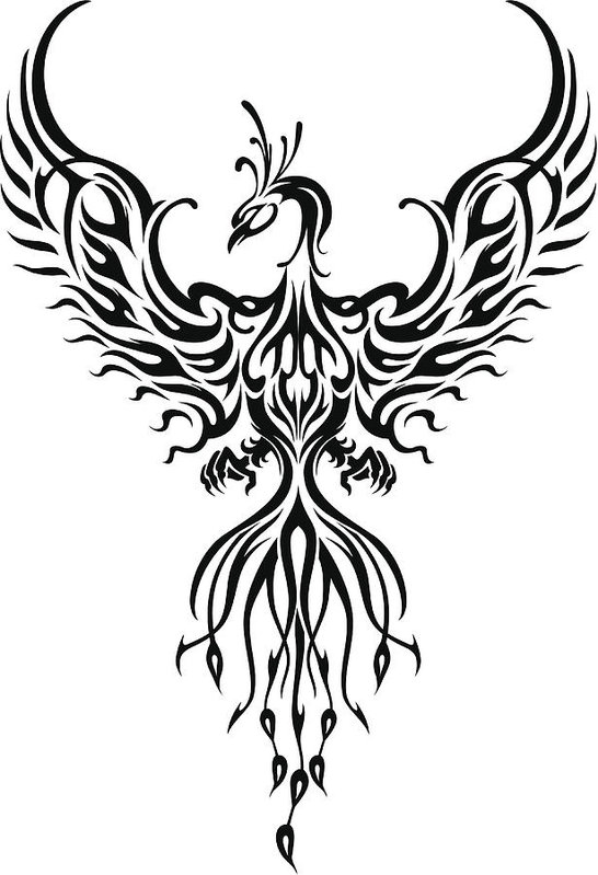546x799 Phoenix Bird Tattoo Art Print