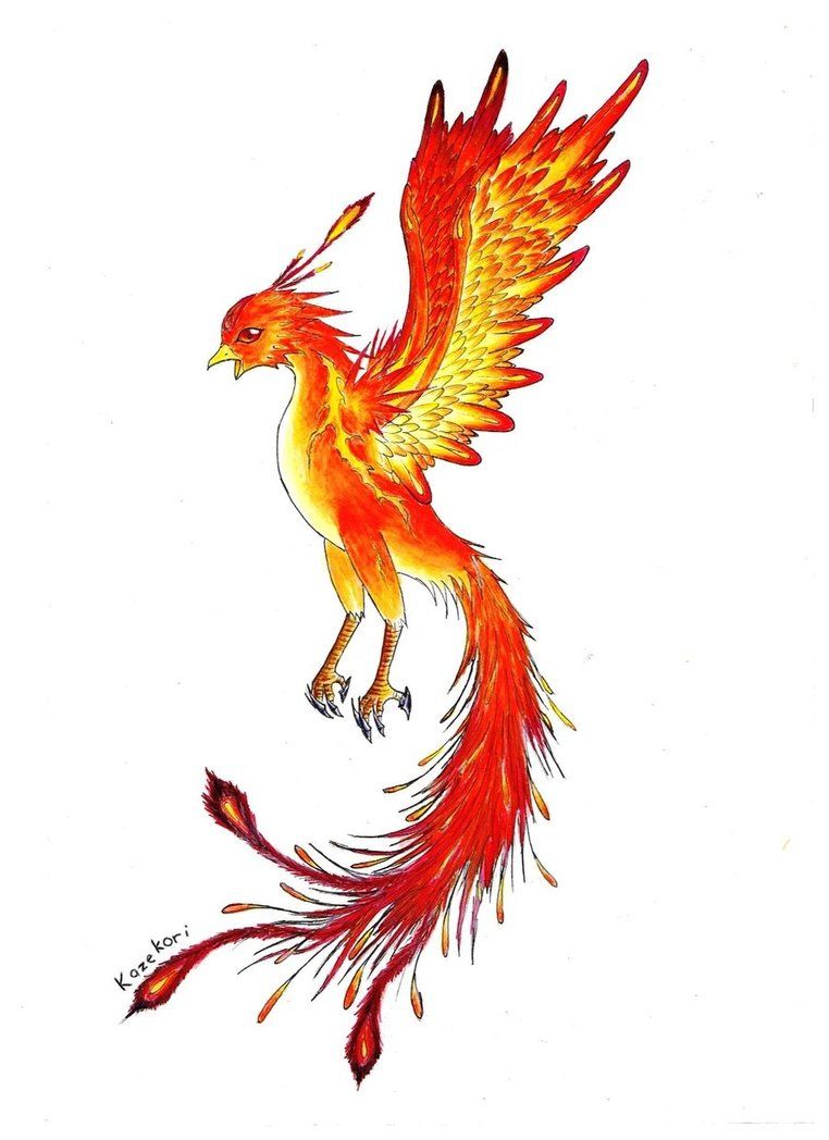 762x1048 tattoos phoenix drawing, phoenix design