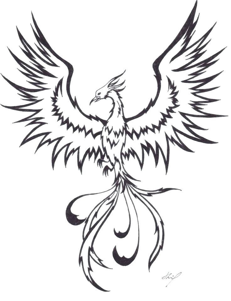 736x961 How To Draw A Phoenix