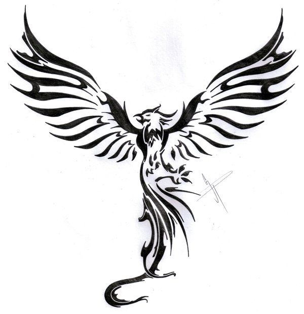 600x621 Phoenix Drawing Rise For Free Download