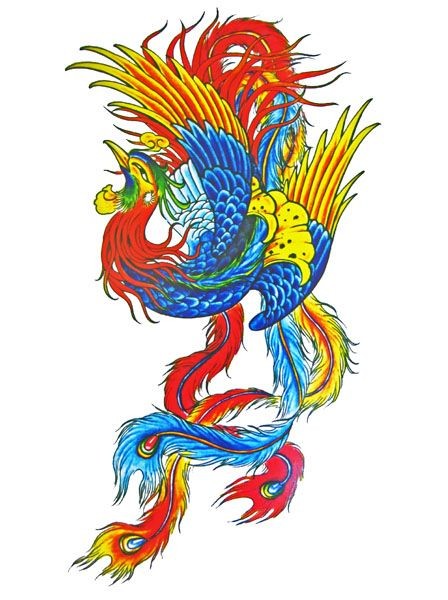 448x600 amazing vivid color phoenix with extra long tail feathers tattoo