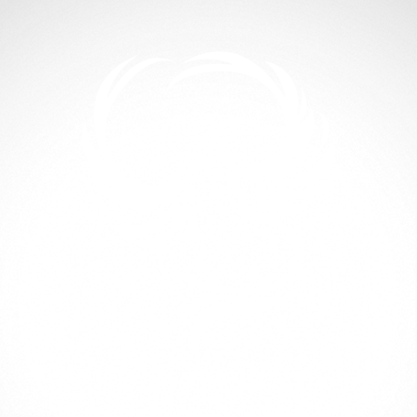 600x600 Simple Color Vinyl Phoenix Stickers Factory