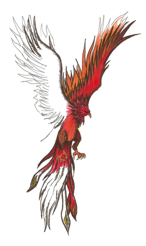 600x1013 Awesome Colorful Flying Phoenix Tattoo Design