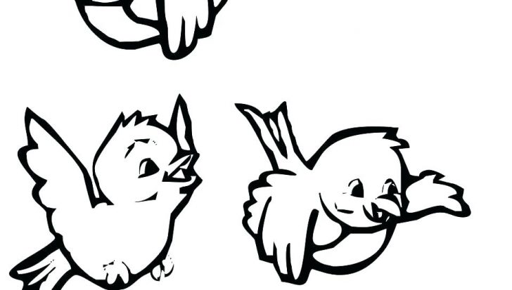 728x413 Coloring Pages Flowers Free Printable Easy Bird For Preschoolers
