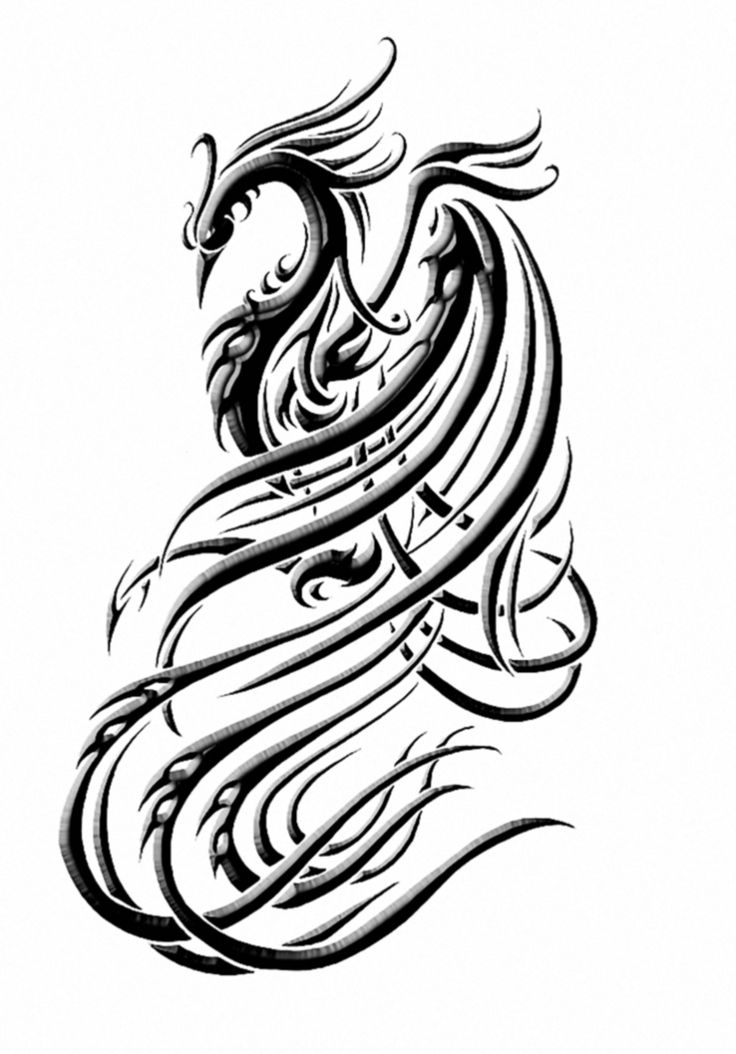 736x1054 Phoenix Tattoos Clipart Black And White