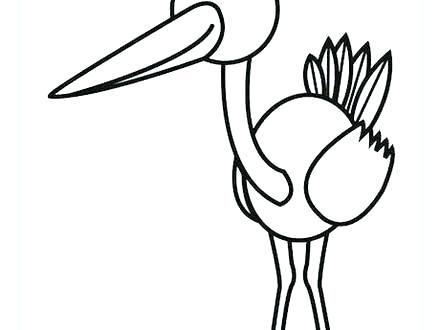 440x330 Proud Kiwi Bird Coloring Pages For Adults Animals To Print Flowers