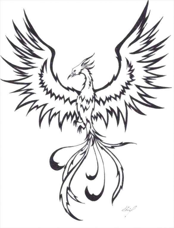 585x765 easy to draw phoenix easy draw phoenix