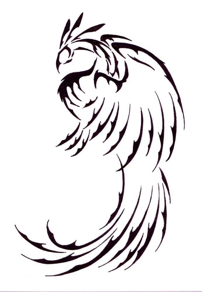 692x1000 Tribal Phoenix Tattoos Design Ideas