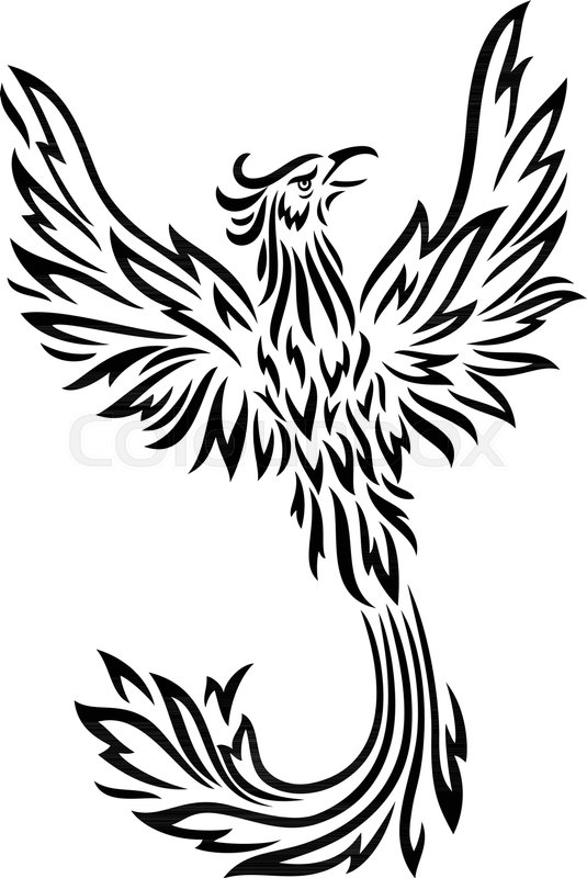 535x800 Vector Illustration Of Phoenix Tattoo Stock Vector Colourbox