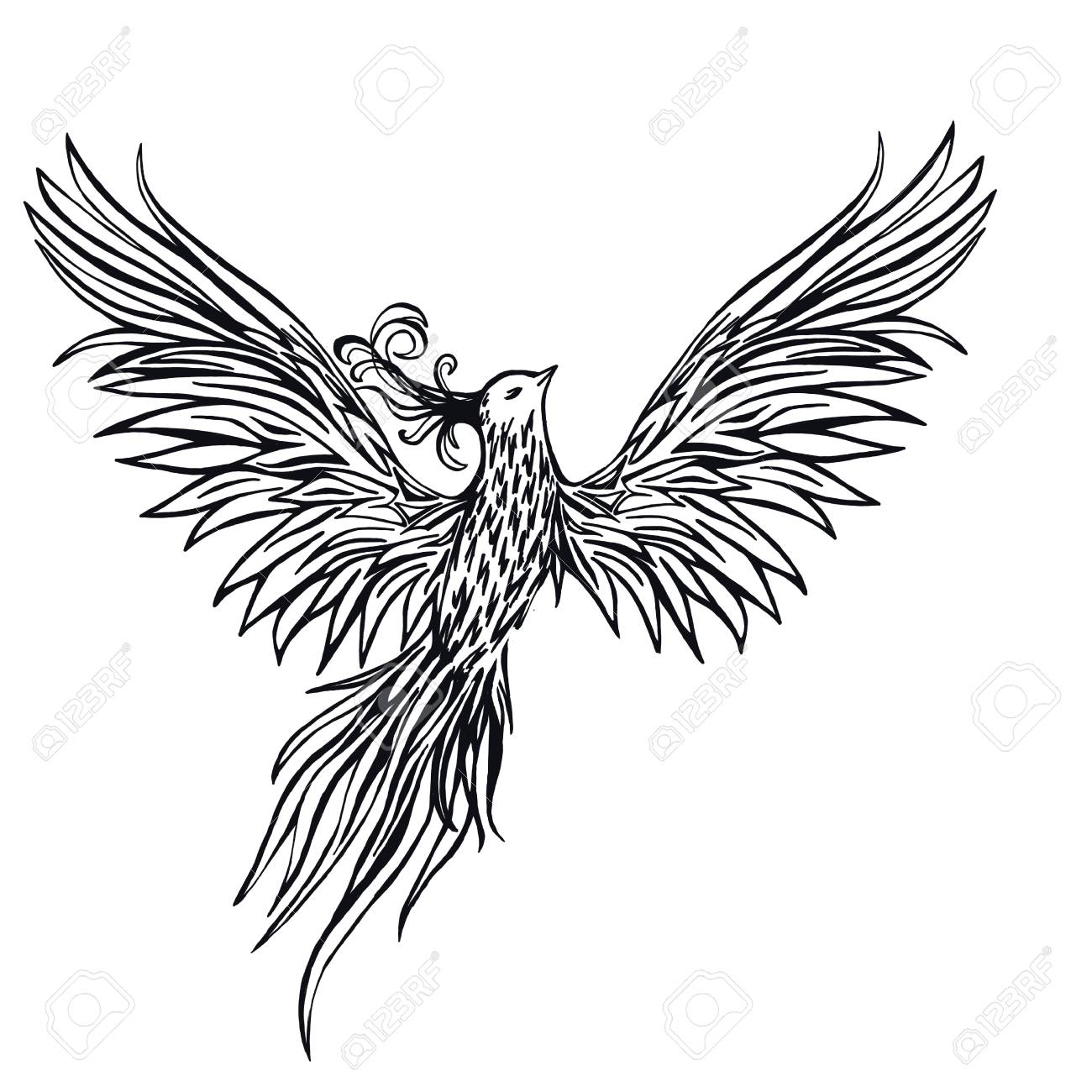 1300x1300 Drawn Phoenix