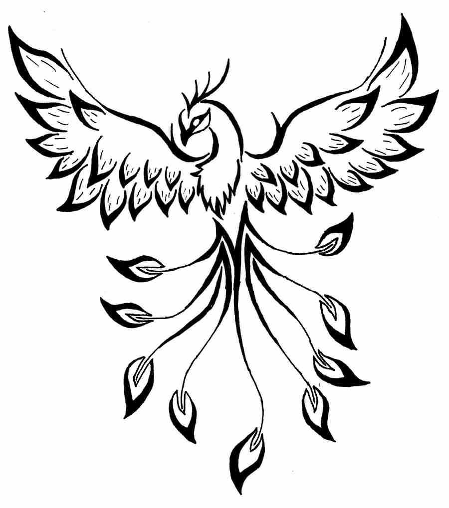 phoenix-outline-drawing-free-download-on-clipartmag