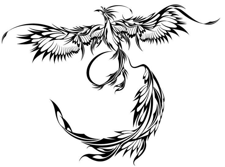 Phoenix Outline Drawing | Free download on ClipArtMag