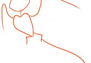 300x210 How To Draw Phoenix Bird Archives